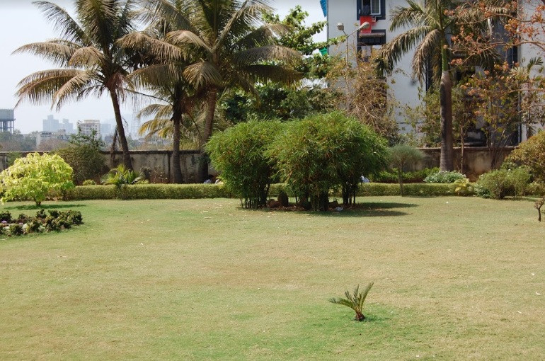 College Garden